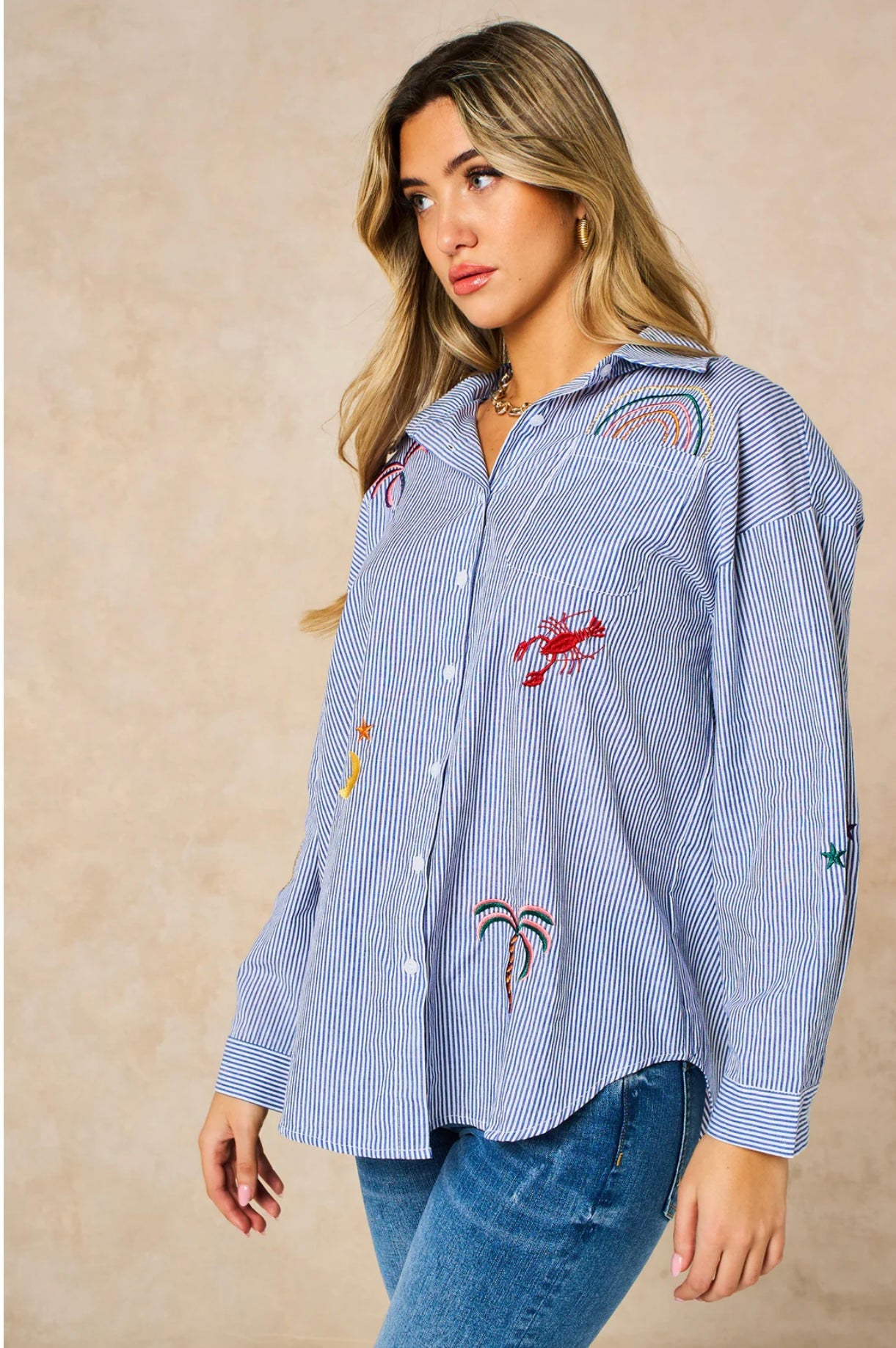 Embroidered Striped Long Sleeve Cotton Shirt in Blue