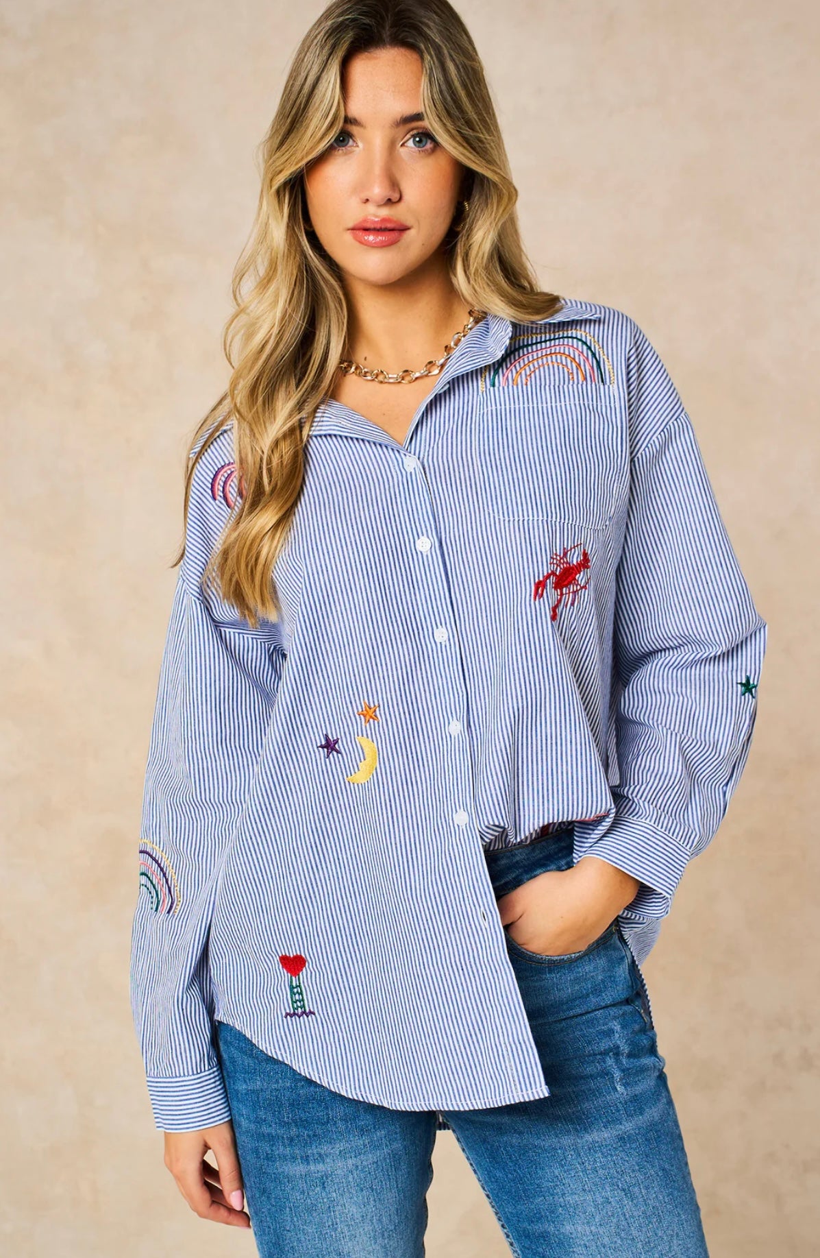 Embroidered Striped Long Sleeve Cotton Shirt in Blue