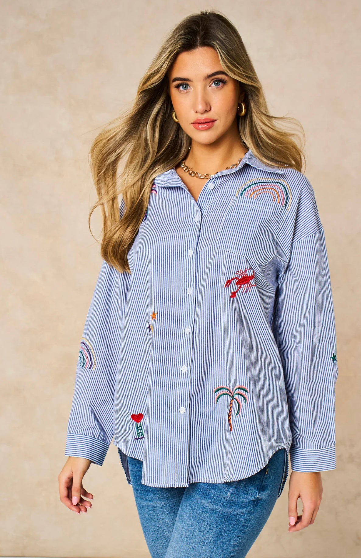 Embroidered Striped Long Sleeve Cotton Shirt in Blue